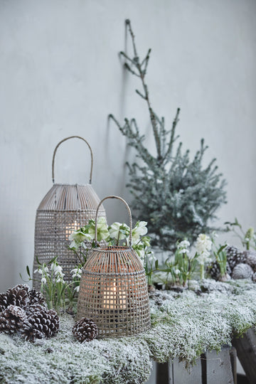 Lanterner - Lene Bjerre