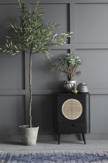 Oliventræ Flora 160 cm. Lene Bjerre Design DK