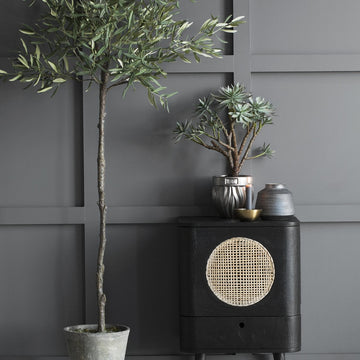 Flora Oliventræ 160 cm. Lene Bjerre Design DK