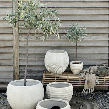 Oliventræ Flora 44 cm. Lene Bjerre Design DK