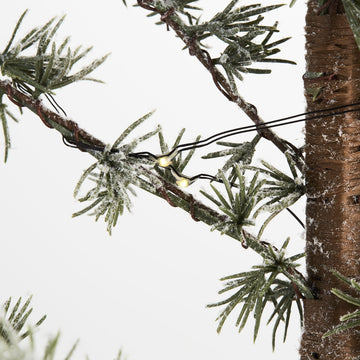 Pinea H95 cm. grøn LENE BJERRE