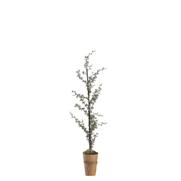 Pinea H95 cm. grøn LENE BJERRE