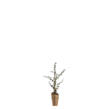 Pinea H60 cm. grøn LENE BJERRE