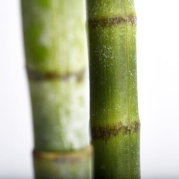 Flora H185 cm. grøn Lene Bjerre Design DK