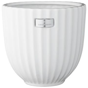 Rosalie skjuler 19 cm. LENE BJERRE