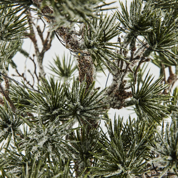 Pinea H44 cm. grøn Lene Bjerre Design DK