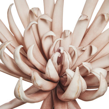 Happia stor dekorationsblomst lyserød D25 L52 LENE BJERRE