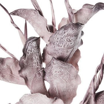 Happia skumblomst 90 cm. lilla LENE BJERRE