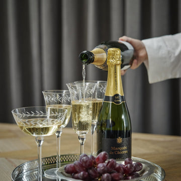 Dauphine champagne skål 33 cl. transparent LENE BJERRE