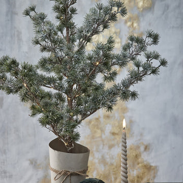 Pinea H68 cm. grøn Lene Bjerre Design DK