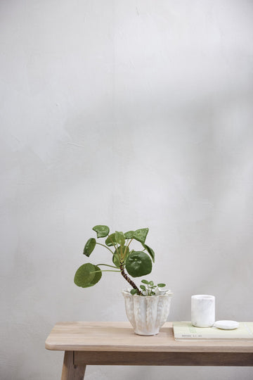 Ellia krukke 6x6 cm. hvid marmor LENE BJERRE