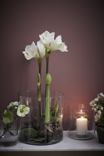 Carla vase H30 cm. transparent glas LENE BJERRE