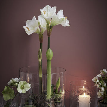 Carla vase H30 cm. transparent glas LENE BJERRE