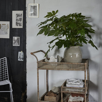 Sheline muslingeskål 25x21,5 cm. sand LENE BJERRE