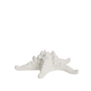 Shellille dekoration 16.5x16.5x5.5 cm. Lene Bjerre Design DK