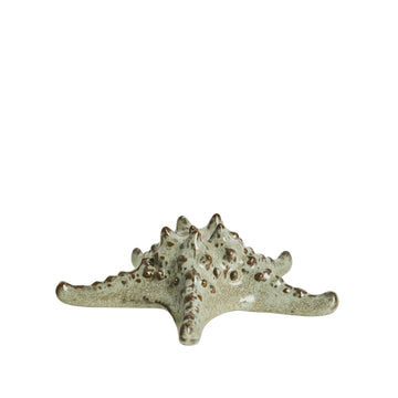 Shellille dekoration 16.5x16.5x5.5 cm. Lene Bjerre Design DK
