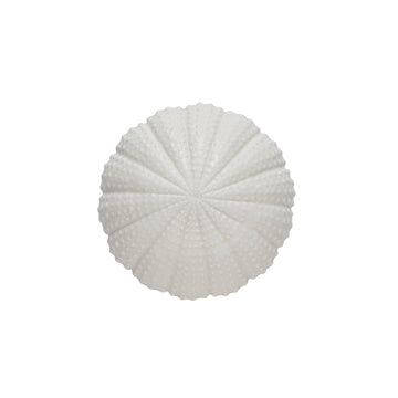 Shellille dekoration 15.5x15.5x8 cm. Lene Bjerre Design DK